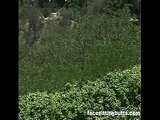 Real estate agents fucking in someone&#039_s backyard