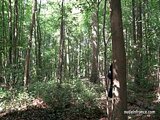 Georgous amateur exhib milf gets rendez vous in a wood before anal sex at home