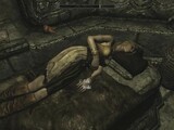 Skyrim - Sex With Hroki