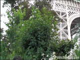 Eiffel Tower PUBLIC sex threesome orgy