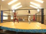 Japanese Wrestling