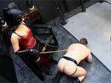 Mistress take Pleasure